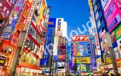 Explore the Top Beauties of Japan