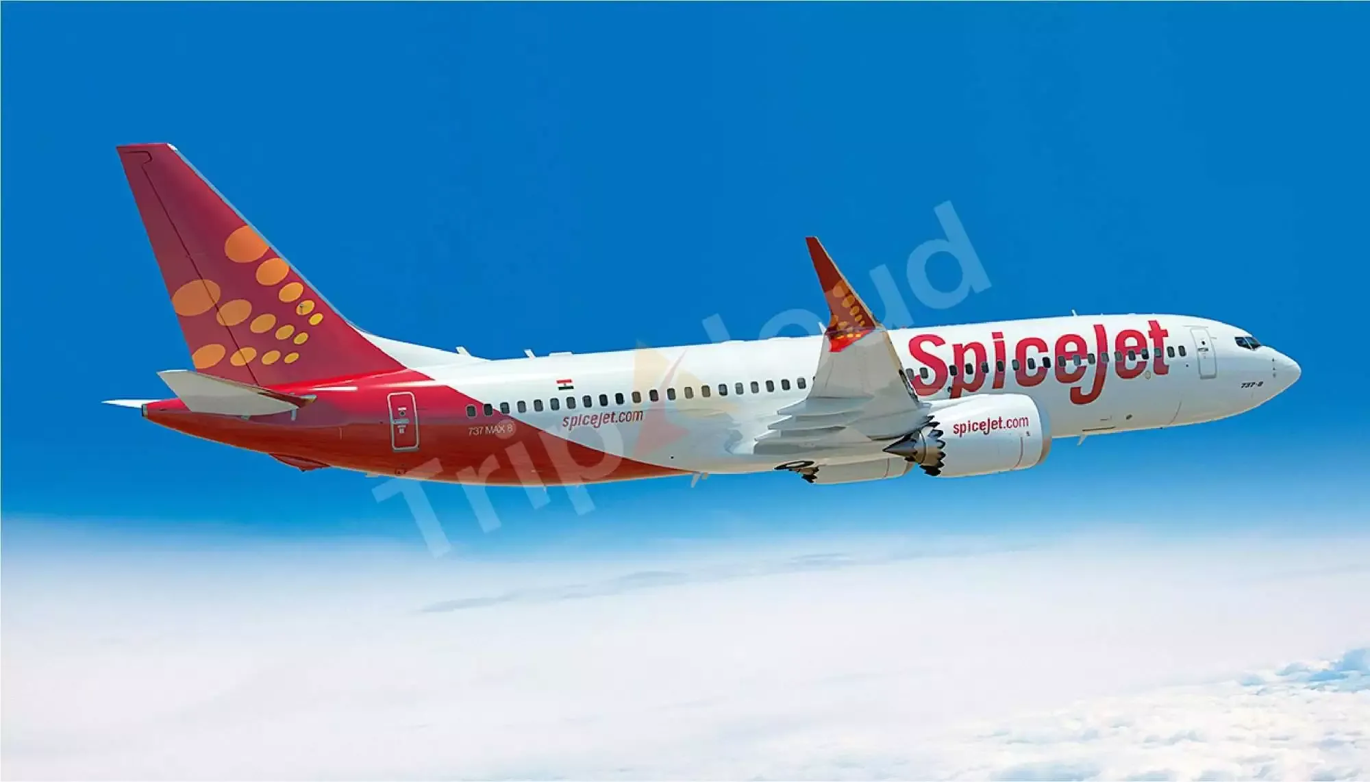 Spicejet