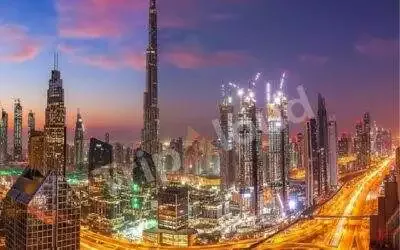 Explore Dubai’s Best: From Stunning Skyscrapers to Charming Dolphins