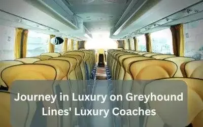 Journey in Luxury on Greyhound Lines’ Luxury Coaches