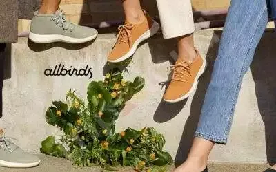 Discovering Your Best Match From Allbirds’ Footwear Collection for Women
