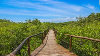 Ilha do Cardoso: Brazilian island is a true escape